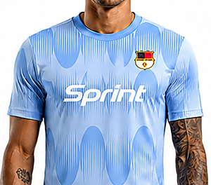 Ensemble de maillots de football unisexe bleu clair personnalisé, manches courtes, évacuation de l'humidité, impression numérique, anti-rétrécissement, 100% polyester - Product Image 2