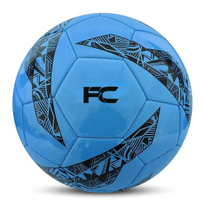 Ballon de football d'entraînement en PU sur mesure, best-seller, haute qualité, léger, écologique, souple, à prix abordable, dernier design - Product Image 1