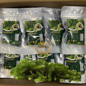 สาหร่ายแห้งขายดี 100% สาหร่ายแห้งชนิดสาหร่ายองุ่นทะเล (Caulerpa Lentillifera/Umibudo Lato) Takimex Global Vietnam Export - Product Image 6