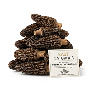 Morilles séchées naturelles de qualité supérieure, champignons sauvages de qualité alimentaire, saveur riche, vente en gros, fournisseur d'exportation - Product Image 4