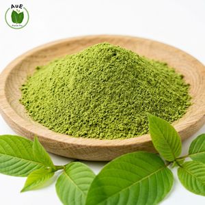 Poudre de feuilles d'herbes thaïlandaises MIT, pureté 1,5%, 120 Mesh, séchée à l'air chaud, emballée sous vide, incontournable, préférée des clients AuE, pour la santé - Product Image 1