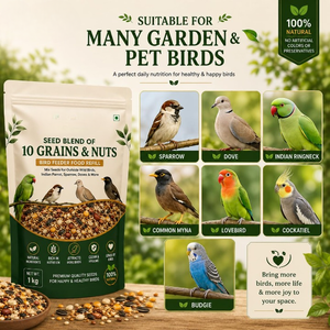 Mélange Premium de 10 Grains et Noix pour Oiseaux 1kg – Recharge Naturelle pour Mangeoire à Oiseaux Sauvages et d'Appoint – Mélange de Graines Nutritives en Gros - Product Image 3