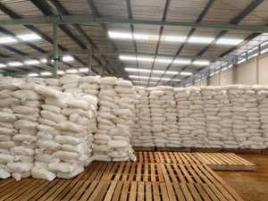Fertilizante de urea Pupuk Indonesia Nitrea 50 kg 46% N en gránulos de liberación rápida para uso agrícola - Product Image 3