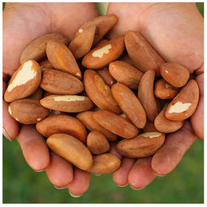 PIEZAS DE NUEZ DE BRASIL - CASTAÑAS - con y sin cáscara - Product Image 3