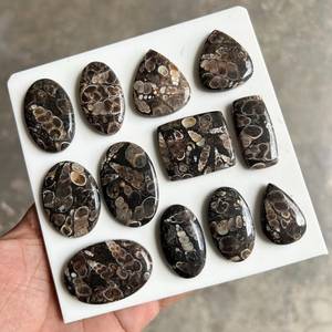 Lot en gros de cabochons en agate Turritella naturelle, pierres précieuses en vrac pour la fabrication de bijoux, pendentifs, bagues, boucles d'oreilles - Product Image 4