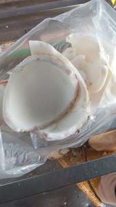 Leche de Coco en Polvo Estándar 35% Grasa, Polvo de Coco Secado por Aspersión de Vietnam, Fabricante a Granel, Calidad de Exportación - Product Image 5