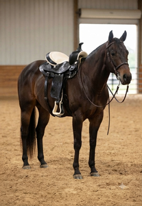 Best Price Western Barrel Leather Horse Saddle Durable Fiber Glass Tree Traditional Style Handcrafted <b>Equestrian</b> Saddle 11" - Product Image 6