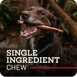 Barritas de Carne de Res Naturales para Perros, Masticables Dentales Saludables y Duraderos, Golosinas de un Solo Ingrediente con Alto Contenido de Proteínas, Marca Privada OEM - Product Image 4