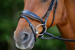 Bridon de dressage haut de gamme avec rênes en cuir souple, cuir indien, passepoil cognac et frontale ornée de cristaux - Product Image 3
