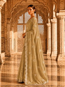 Sari de Terciopelo y Satén para Mujer, Diseño Indio Personalizado de Vexotrend, Hermoso Diseño Patola, Estilo Tradicional para Bodas y Fiestas - Product Image 6