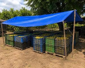 Premium 240 GSM UV Stabilized HDPE Tarpaulin Sheet Heavy Duty Waterproof Protective Cover for Outdoor Construction Agriculture - Product Image 5