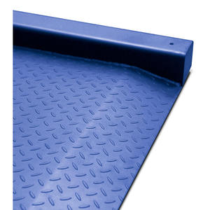 Accurex TX Spider - Bilancia a pavimento extra piatta con rampe integrate - Product Image 4