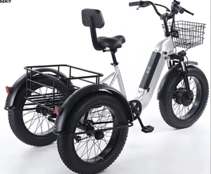 LISTO PARA ENVIAR Nuevo Triciclo Eléctrico con Llantas Gruesas de 20 Pulgadas, 500W, 48V, 12Ah, Capacidad de Carga de 140 kg, Triciclo Eléctrico Utilitario/de Carga - Product Image 1