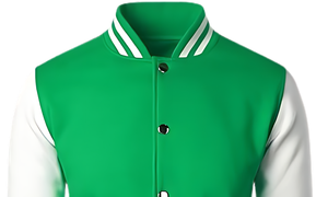 Blouson universitaire homme en mélange de laine coupe-vent écologique de haute qualité, broderie personnalisée, bordure côtelée, col montant, toile, hiver - Product Image 2