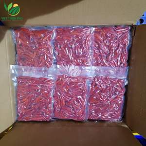 เวียตเธียนฟู่ พริกแช่แข็ง เวียดนาม ผู้จัดจำหน่ายคุณภาพสูงสำหรับการส่งออก - Product Image 3