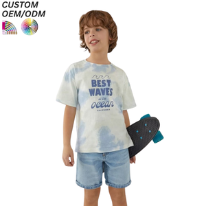 Vente en gros OEM – T-shirts décontractés pour enfants 100 % coton pur, séchage rapide, respirants, écologiques, grandes tailles, vêtements pour garçons à manches courtes - Product Image 1