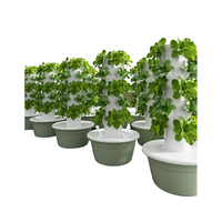 Tour hydroponique en gros Système d'arrosage de jardin vertical Tours de culture de légumes verticales