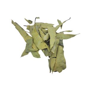 ใบมะม่วงอบแห้งแบบแพ็คสุญญากาศหรือแบบมัดรวม ขายดี ผลิตภัณฑ์คุณภาพสูงจากเวียดนาม ใบมะม่วงอบแห้งสำหรับชงชา ขายปลีก - Product Image 6