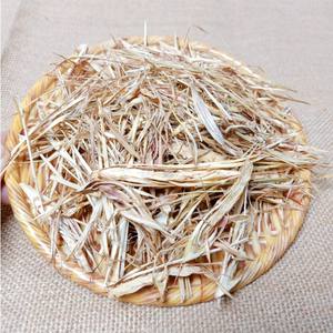 Wholesale in Bulk Cheap Price <b>Dried</b> <b>Lemongrass</b> Made in Vietnam - Product Image 4
