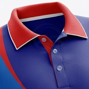 Uniforme de Cricket para Verano Hecho en Pakistán, Poliéster de Alta Calidad, Transpirable, Fácil de Usar, Nueva Tendencia para Venta en Línea - Product Image 4