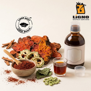 Antrodia Camphorata LiGNO AC07 Polvo Botánico, Bebida Funcional para el Desayuno, Certificación Halal y Kosher, Grado Alimenticio - Product Image 1