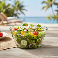 [Holar] Bols à salade en plastique de qualité alimentaire, motif palmier tropical, fabriqués à Taïwan, pour restaurants, cuisines et usage domestique