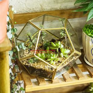 Terrario de vidrio para el hogar, plantador de Metal único para mesa de alta calidad con forma geométrica - Product Image 4