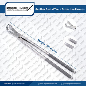 Pinzas de Extracción Dental Veterinarias Manuales Regal Impex de Acero Inoxidable Clase I para Odontología Equina con 1 Año de Garantía - Product Image 3