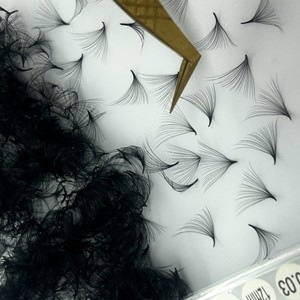 Wholesale Premium CC/DD/M/L Curl Narrow 0.03 0.05 0.07 Loose Fan <b>Premade</b> Synthetic Hair <b>Lash</b> Extensions Natural soft Bulk Order - Product Image 6