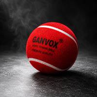 Premium GANVOX GLOBAL Sert Kriket Topu |   Klasik Boyut 110-130G |   Dayanıklı Dokunmamış Keçe |   Antrenman Turnuvası Topu |   OEM Özel Üretim
