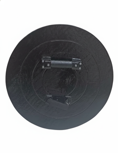 โล่ยางลายนูนรูปสิงโตยุคกลาง งานแฮนด์เมด ตกแต่งผนัง ใช้สำหรับการแสดง คอสเพลย์ และงานปาร์ตี้ฮาโลวีน - Product Image 6