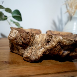 ชามไม้สักรากทำด้วยมือของตกแต่งกลางแบบเรียบง่ายไม่เหมือนใคร - Product Image 6