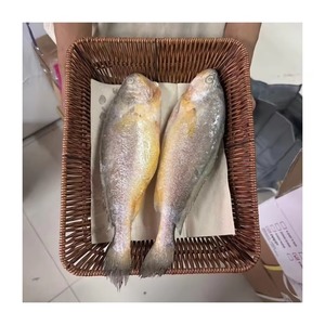ส่งออกอาหารทะเลแช่แข็ง ปลาหนังปลาแช่แข็ง ทำความสะอาดอย่างดี บรรจุเป็นชิ้นๆ อย่างปลอดภัย สำหรับผู้ซื้อนำเข้า บรรจุในกล่อง - Product Image 1