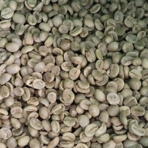 High Quality Vietnam <b>Robusta</b> Honey Process Green <b>Coffee</b> <b>Beans</b> Bulk Supply Export Grade <b>Coffee</b> <b>Beans</b> for Roasters - Product Image 5