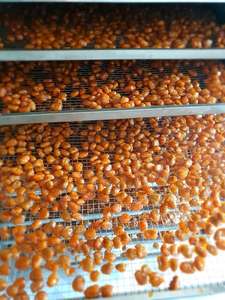[MEILLEURES VENTES] Ramboutan en tranches séchées et moelleuses en vrac, fruit tropical sucré et conservé, prêt à consommer pour la saison des fêtes, Blue Lotus Farm - Product Image 4