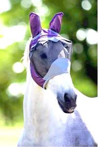 หน้ากากป้องกันแมลงวันสำหรับม้า HOPE HORSE ป้องกันรังสียูวี ระบายอากาศได้ดี ป้องกันใบหน้า จมูก และหู สวมใส่สบาย คุณภาพสูง สำหรับขี่ม้า - Product Image 5