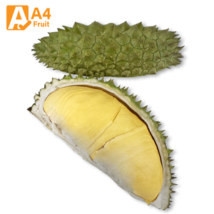 ทุเรียนมันทองไทยออร์แกนิกระดับพรีเมียม รสหวานเนียนนุ่ม เนื้อ 100% แช่แข็ง 500 กรัม อายุการเก็บรักษา 14 วัน เกรดสำหรับขายส่ง - Product Image 1