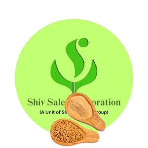 Poudre d'extrait sec de Methi Dana pour les additifs alimentaires à grande échelle, l'industrie des épices, les mélanges cosmétiques, l'approvisionnement international en matières premières - Product Image 1