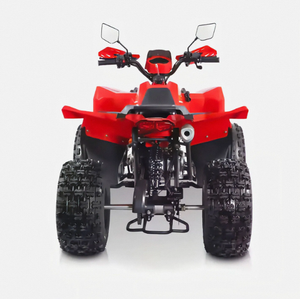 Quad 4 roues Chithan de haute qualité, nouveau modèle DIY pour adultes, 125cc, 4x4, moteur 4 temps, poignée en plastique, OEM/ODM, garantie 3 ans, CE - Product Image 6