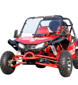 Kart de course pour adultes fabriqué en Chine, système de transmission automatique à chaîne, à vendre - Product Image 2