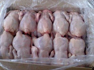 Poitrine de poulet halal congelée de qualité supérieure, sans os, sans peau, viande de volaille élevée en ferme, traitée hygiéniquement, emballage de qualité export - Product Image 3