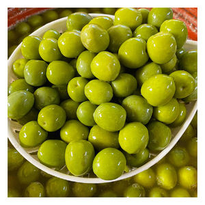 Aceitunas Verdes Frescas al por Mayor, Estilo Tropical, Color Natural, Sin Núcleo, para Distribuidores Globales de Alimentos y Restaurantes - Product Image 4