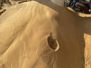 Calidad de exportación Arroz DDGS Grado natural puro Cantidad a granel disponible suministrada por exportadores indios de confianza - Product Image 5