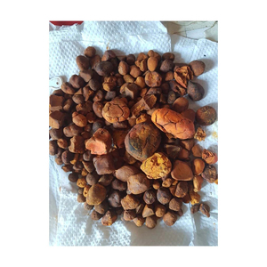 Cápsulas de cálculos biliares de ganado bovino de alta calidad, a granel, directo de fábrica, piedra natural seca, bajo peso específico, NMF (PTY) LTD Food - Product Image 5