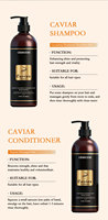 Marque privée Ensemble de soins capillaires de luxe personnalisé Masque capillaire végétalien bio à base de protéines et de caviar Sérum capillaire Shampooing et après-shampoing