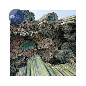 BEST SELLER Piquets de jardin en bambou naturel durable, écologiques, support bleu en bambou - Product Image 1