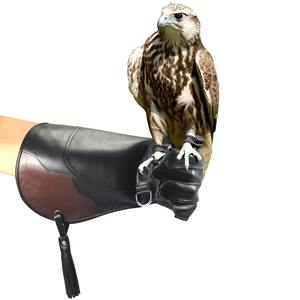 Gants de fauconnerie en cuir pour la manipulation des oiseaux, la formation et la sécurité des mains, fabriqués sur mesure, vente en gros - Product Image 4