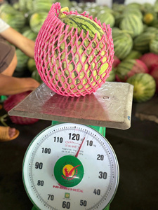 แตงโมไร้เมล็ดพรีเมียมจากเวียดนาม – หวานฉ่ำ คุณภาพสูงสำหรับการส่งออก เหมาะสำหรับร้านค้าปลีก - Product Image 2