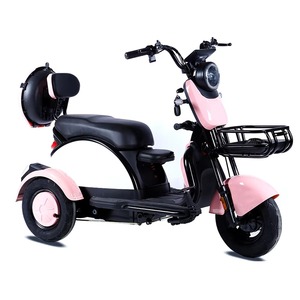 Triciclo Eléctrico de 3 Ruedas, 12 Pulgadas, 600W, 48V, Pantalla LED, Diseño Atractivo, Ideal para Familias - Product Image 1