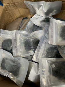 Fabricante Mayorista de Uvas de Mar de Vietnam, Algas Verdes Deshidratadas Premium para Importadores en Mercados de Todo el Mundo - Product Image 3